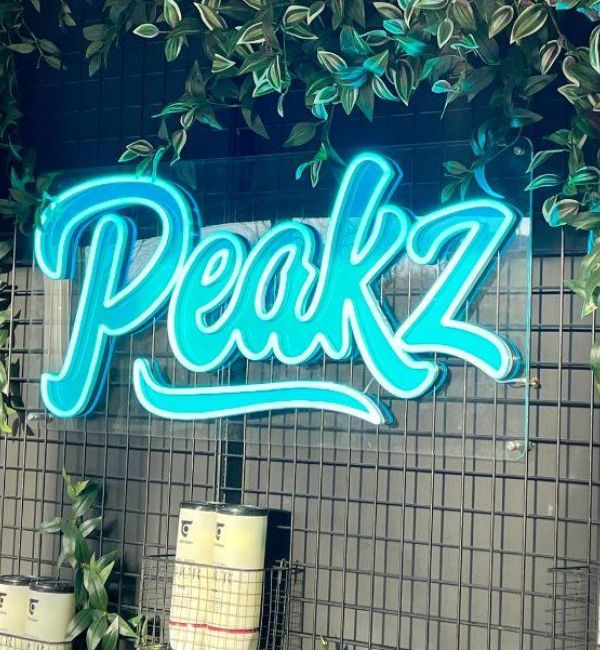 Professionele Neon signs Te Koop